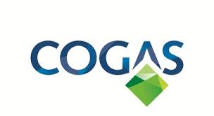 fleetster Kunde Cogas